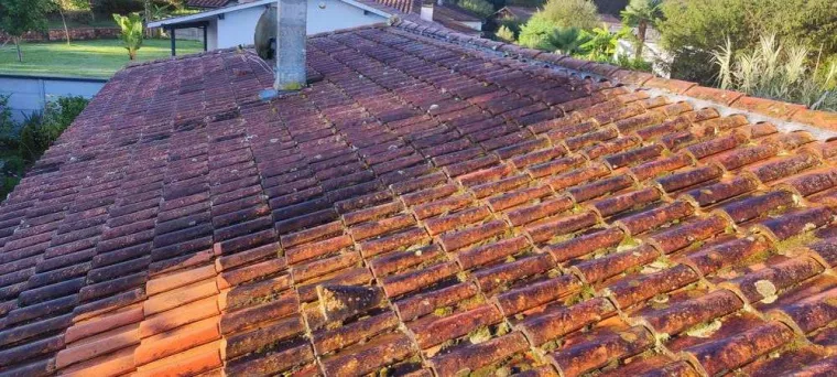 À qui faire appel pour une inspection visuelle d'une toiture avant démoussage ?, Saint-Médard-en-Jalles, Lalande BRUNO